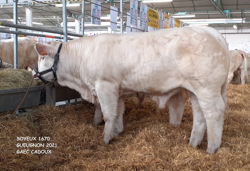 1670 SOYEUX
